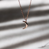 Crescent Moon Necklace in Silver